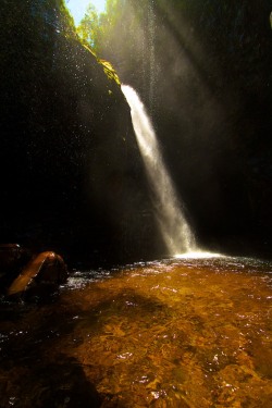 bojrk:  Venezuela: Valle de Kamarata, Canaima