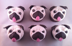 Pugcakes for your birthday! Yay!! OH MA GAH!!! No way I could eat those, too cute!!! They would turn into little hockey pugs&hellip;GET IT GET IT?!?! Thankies sweetest Dolly! *mwah*