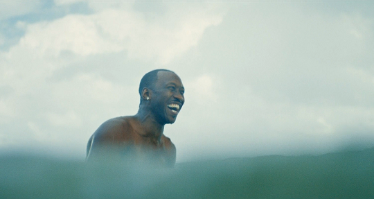 thelittlefreakazoidthatcould: Moonlight (2016) // dir. Barry Jenkins