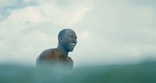 pierppasolini: Moonlight (2016) // dir. Barry Jenkins