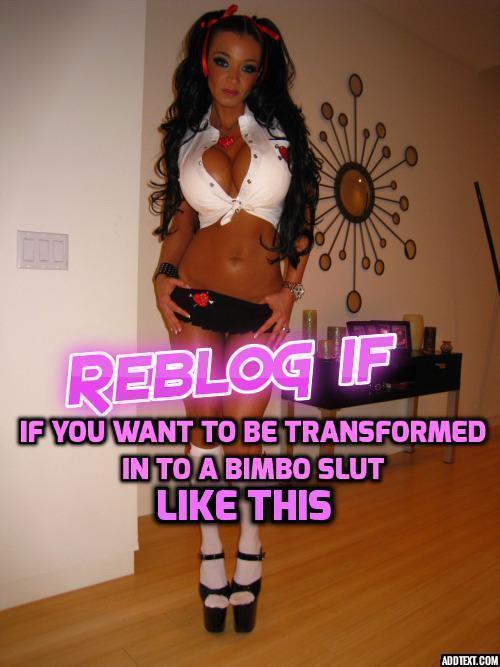 biggested:  sissiemarcie:  lonilovekat:  giogio82:   YES! Help me become the cock