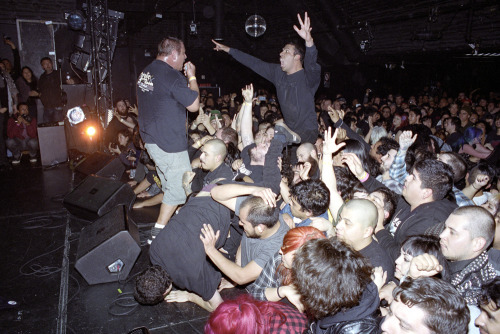 pitmischief:  Infest, Los Angeles, CA Feb. 8, 2014image © Angela Boatwright 
