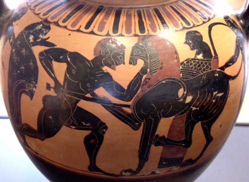 Heracles kills the Nemean Lion.  Black-figure neck amphora by a painter of the Polyphemus Group, ca.