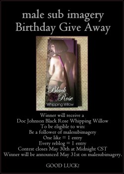 malesubimagery:  Winner will receive a Doc Johnson Black Rose Whipping Willow To be eligible to win: Be a follower of malesubimagery One like = 1 entry Every reblog = 1 entry Contest closes May 30th at Midnight CST Winner will be announced May 31st on