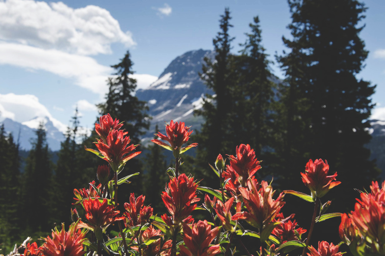 aladylostinlove:Whoa.
