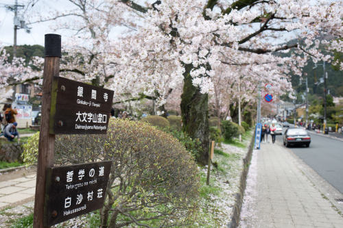 sancty:path of philosophy, kyoto by SanctyYumi