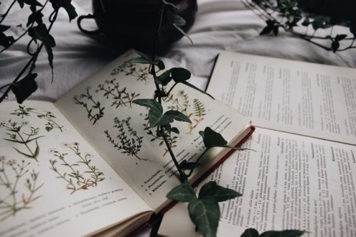almostreading: Vintage botanics books is something everyone needs.