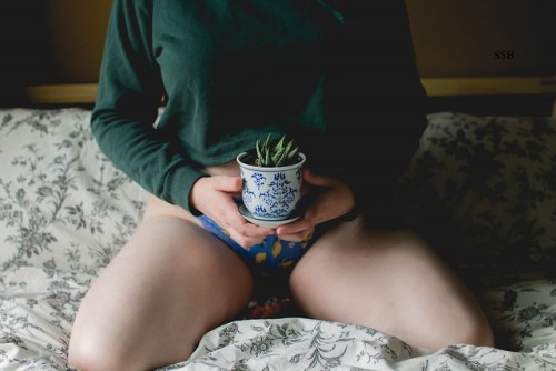 sleepyspacebb: bruise remnants feat. geraldo the succulent (keep the caption please) 