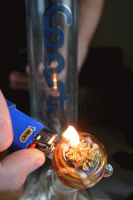 runtrees:  why not clear the bowl though