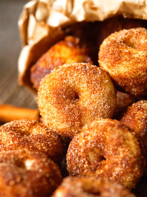 nom-food: Cinnamon sugar mini doughnnuts