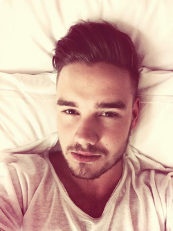 stylesin:  @Real_Liam_Payne: Could stay in