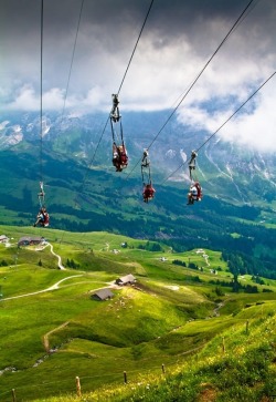 Adventure is calling (ziplining in the Swiss