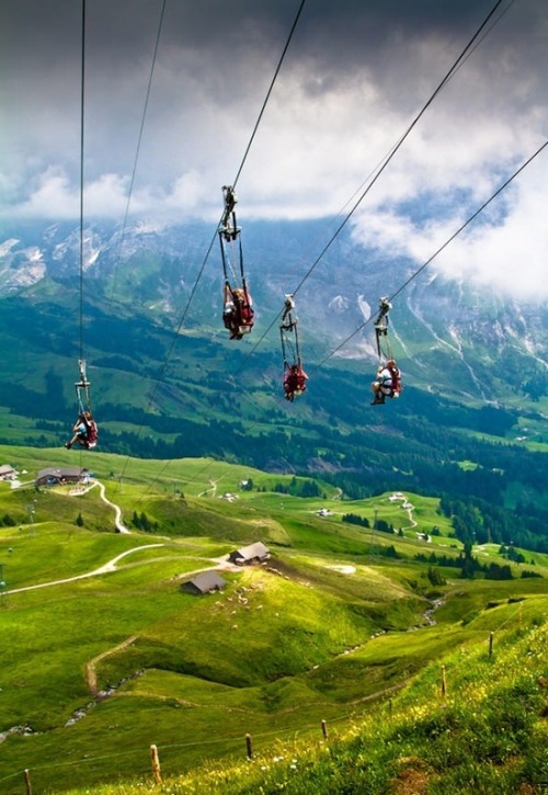 Adventure is calling (ziplining in the Swiss porn pictures