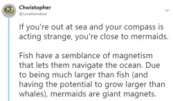 theblackqueen-ofmyheart:  otherwindow:     Mermaid, sensing a pirate ship 5km away: don’tPirates: [lays anchor]Mermaid, with a magnetic migraine:     This explains why the Bermuda Triangle’s magnetic field fucks with ships and planes and everything.