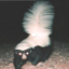 bloodhungryskunk