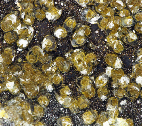 Corkeite on Limonite matrix - Schöne Aussicht Mine, Dernbach, Rhineland-Palatinate, Germany      