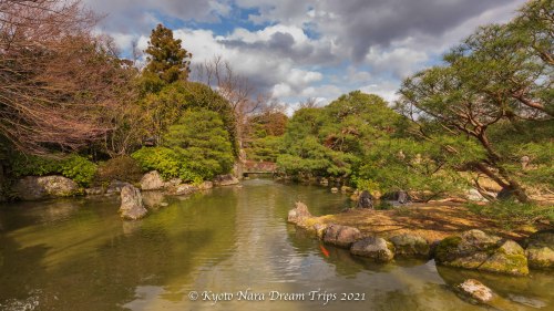 A pond in the Muromachi Garden at Jōnan-gū in Kyōto, Japan!