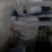 vedajuno:fetalpile:fetalpile:vapboy:jame7t:vapboy:jame7t:a strange silk milked straight