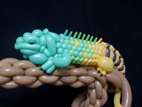 mayahan:  Incredibly Detailed Balloon Animals by Masayoshi Matsumoto
