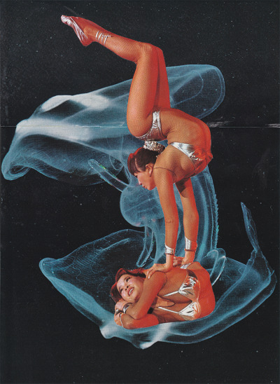 Contortionists, Adrian Velazco on Tumblr
Society6 | Facebook | Flickr