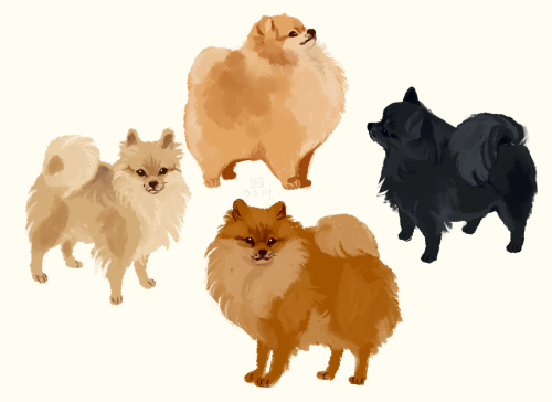 yummytomatoes:i drew poms to calm downit helped