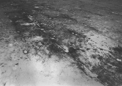 arpeggia:  Daisuke Yokota - Back Yard, 2011 