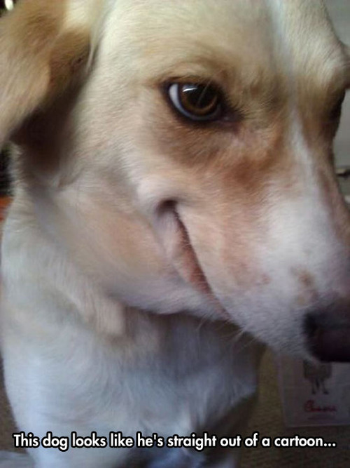 no just wants you to laugh at his joke.   Know what I&rsquo;m saying&hellip;