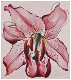 Thunderstruck9:  Lowell Nesbitt (American, 1933-1993), Pink Spotted Lily, 1981. Oil