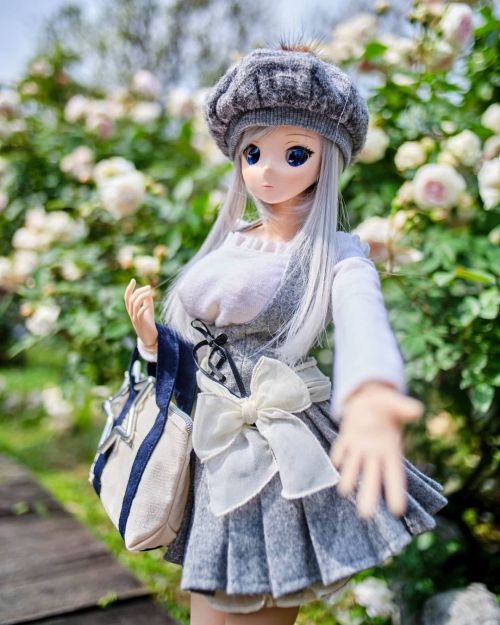 玫瑰園閒逛 stroll in the rose garden. #smartdoll #chitoseshirasawa #instadoll #doll #dollstagram #dollpho