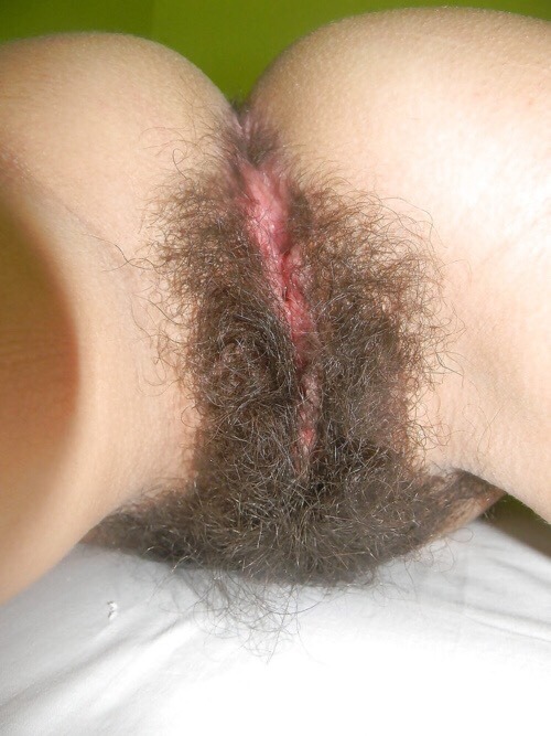 Porn Hairy And Everything Else/Nipples/Tits photos