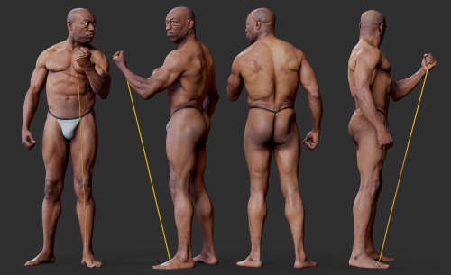 Male anatomy reference scans available on our scanstore www.3dscanstore.com