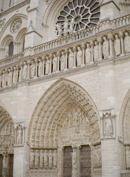 Cathédrale Notre-Dame de Paris, France ~ Greg Finck