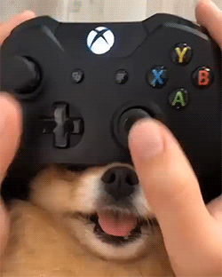 fluffygif:    Extra buttons in the controller