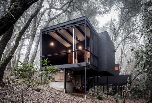 goodwoodwould: Good wood - nestled among tall trees in a forested area of Northern California, ‘The Forest House’ makes for a divine hideaway from the daily grind.