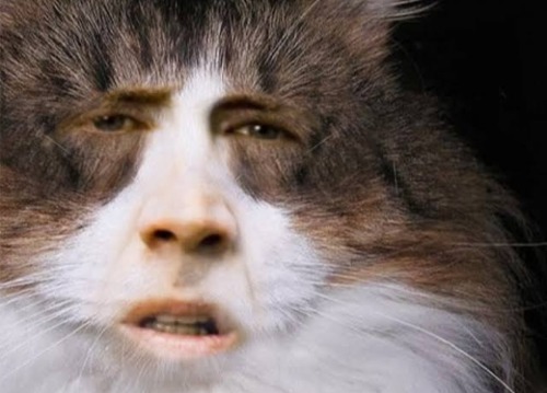 Cats (2019)