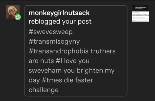 I'm Starting A Collection Of Very Normal Tags On My Post Explaining The History Of Baeddelism.