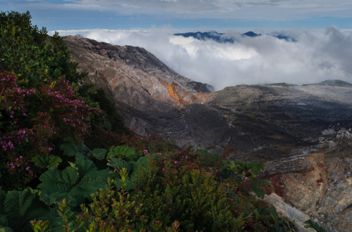 Poás Volcano National Park by happy.apple