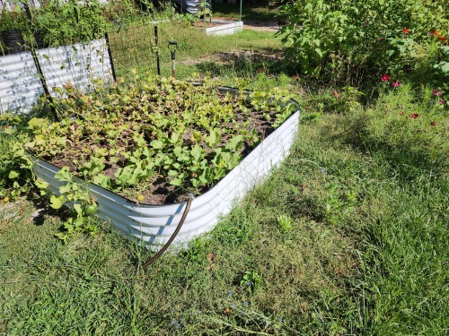So This Is How I Started Down The Rabbit Hole Of Wanting/needing A Frog Pond...
