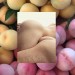 naropinosa:
