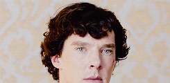 sherlockbbcgifs:  onedirecton requested: Sherlock hair porn? Like when it’s super curly and lovely   laurasykes97