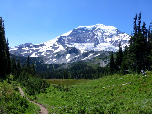 Grand, Mt. Rainer, WA