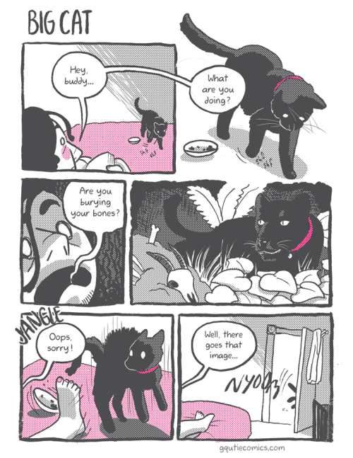 First pageGuess what! YEP, IT’S MORE PET COMICS! Sheppard is one of our two cats, the being Tibi. Sh