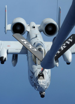 michell169:  A-10