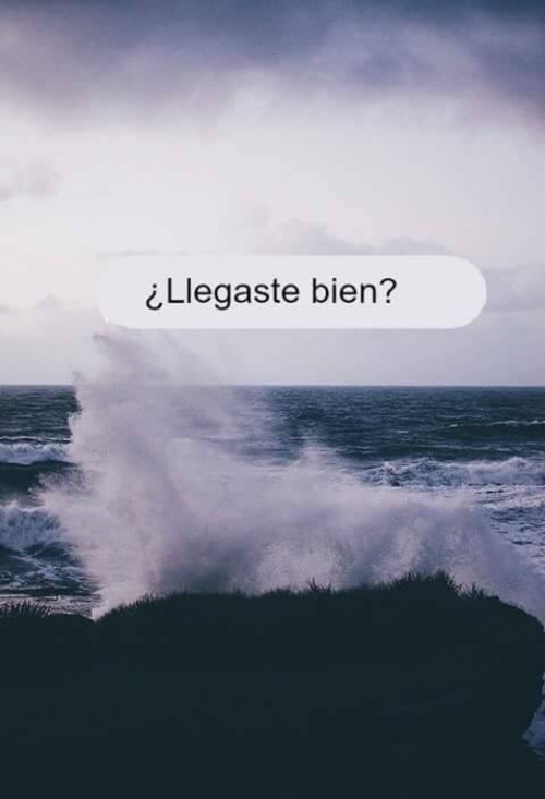 rhandol10:  No es necesario decir “ te quiero ” para poder expresarlo…