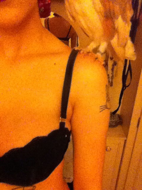 pity-sex:  I SWEAR PIN CURLING YOUR HAIR IS SO MUCH HARDER THAN IT LOOKS Finally finished doing it  And Luna wants lovin 