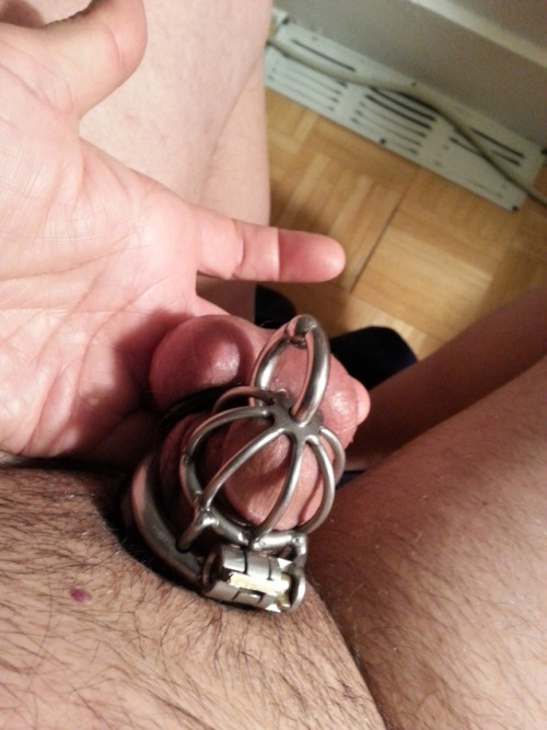 lafistpig:  Starting a Chastity Challenge…How long should I keep myself locked?  YOU tell me… !!! Every like = 12 hours Every reblog = 1 day Minimum term is 30 days… what YOU decide will be added to this.  Got a steel cage to keep my small cock