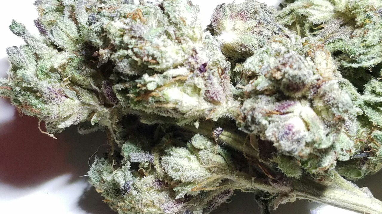 420stationusa:  Stay High And Check Out Our Store Here!!