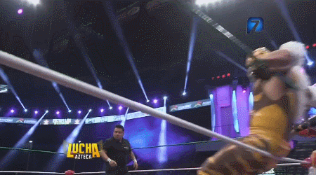 awesomebutternuggets:  Lucha Libre Elite - Lucha Azteca - July 28 2016Rocky Lobo