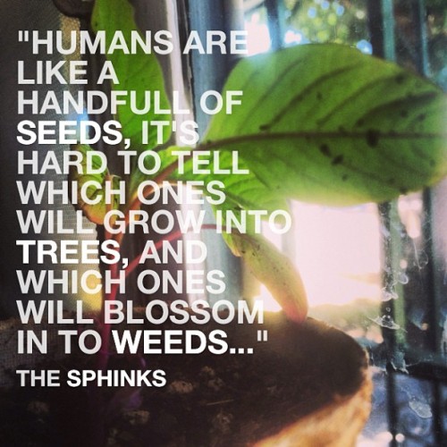 From the poem “searching”. #instaquote #photohub #plant #poetry #poem #ilovequotes #quot