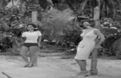 stoneelegance:  I used to watch Gilligan’s Island and I always remember Ginger, the one on the right.And having seen this I know why !
